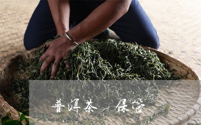 普洱茶 保管/2023042802421